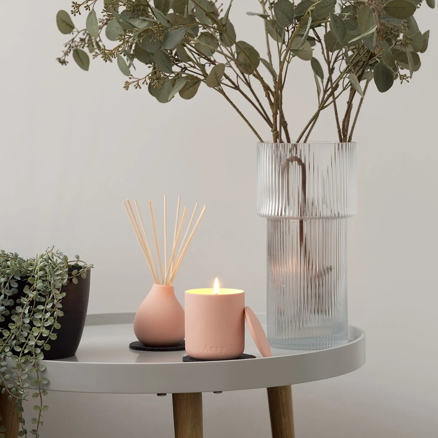 aery living | fernweh scent diffuser | aztec tuberose ~ DC