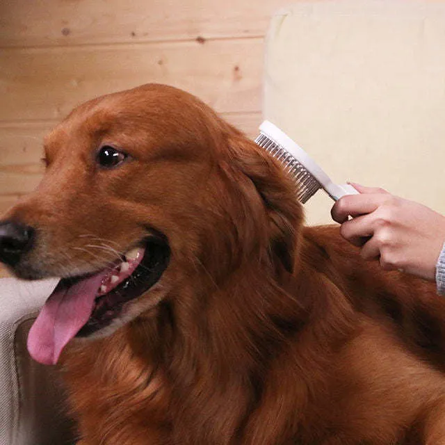 Pet Rake Comb Care