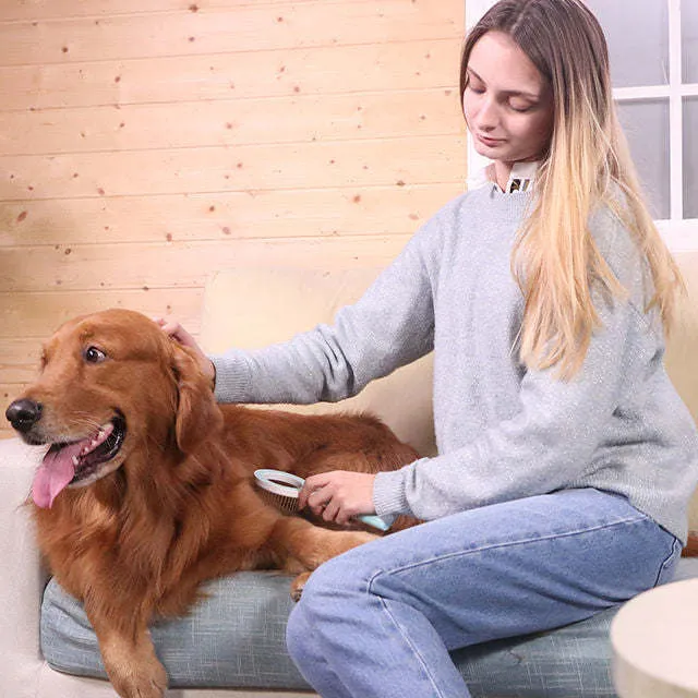 Pet Rake Comb Care