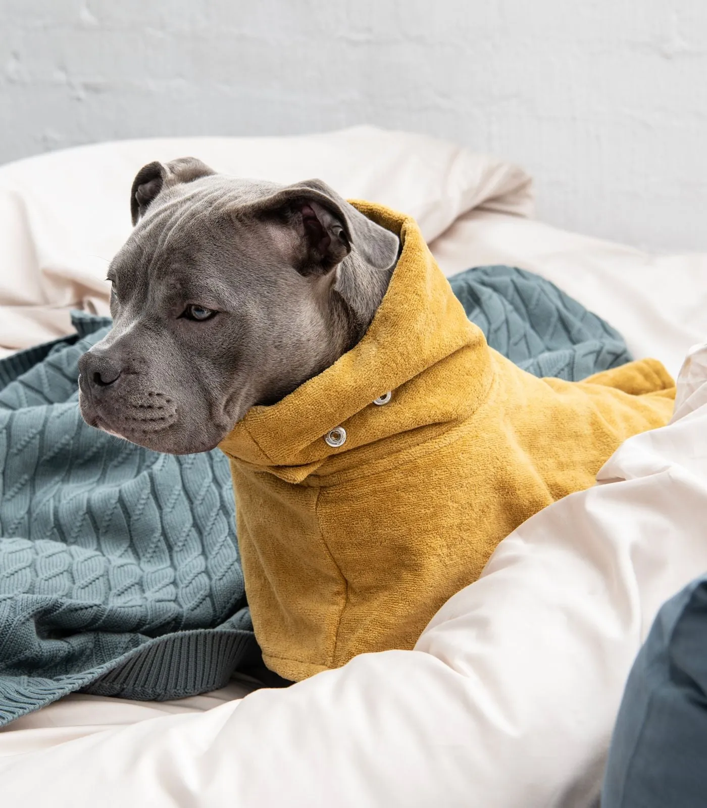 Pet Towel