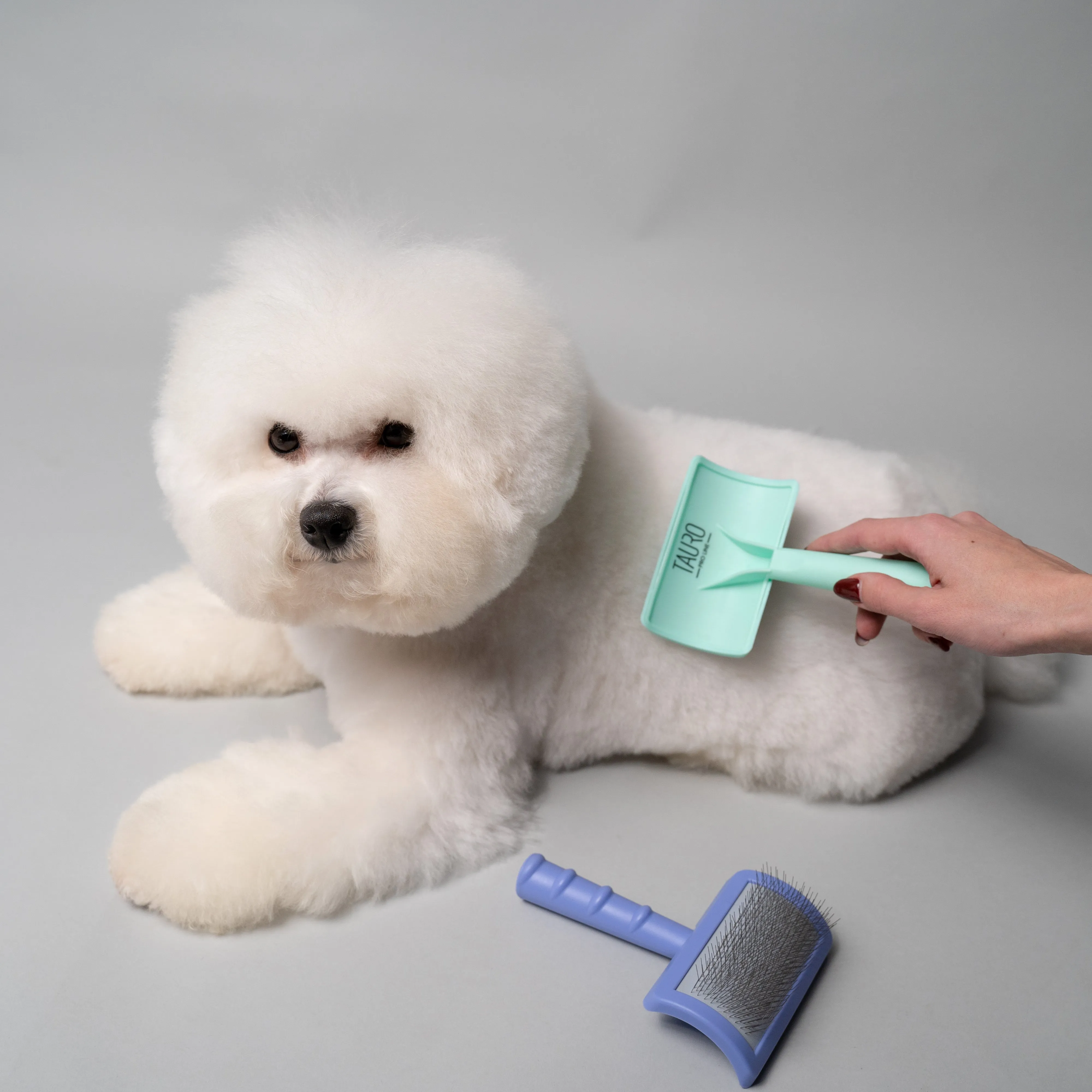 Tauro Pro Line Ergonomic Plastic Dog & Cat Brush Curved Stainless Steel Teeth For Detangling And Comfortable Brushing, teeth 0.79 in, thin